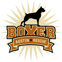 boxer rescue