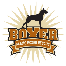 alamo-boxer-rescue-png