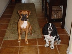 Sally (now Gracie) and Charlie