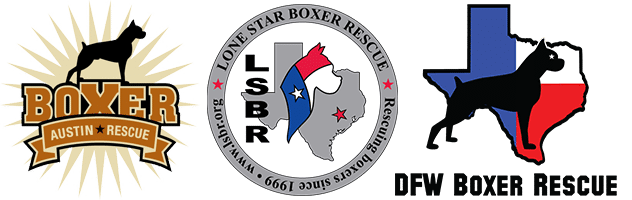 Austin Boxer Rescue